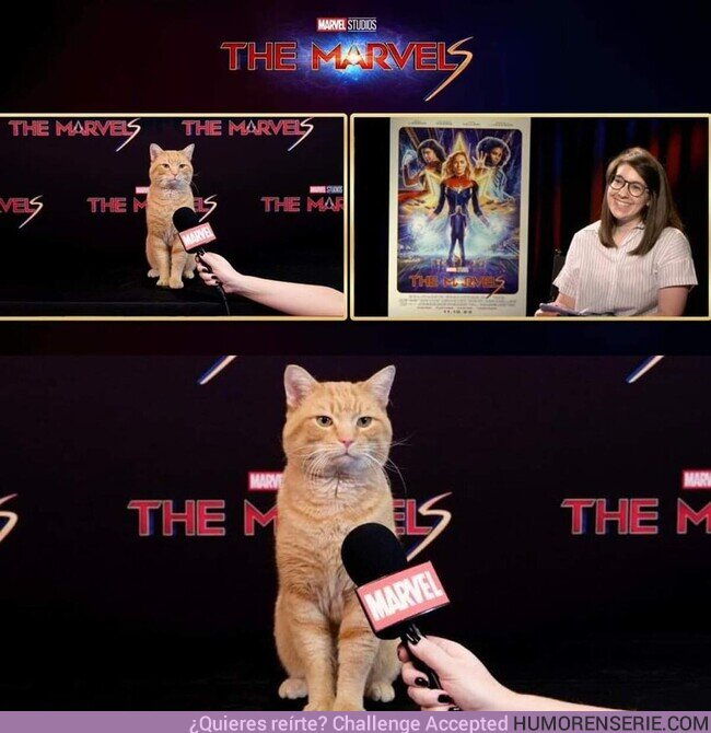 139384 - A falta de actores para promocionar #TheMarvels, decidieron entrevistar al gato-flerken