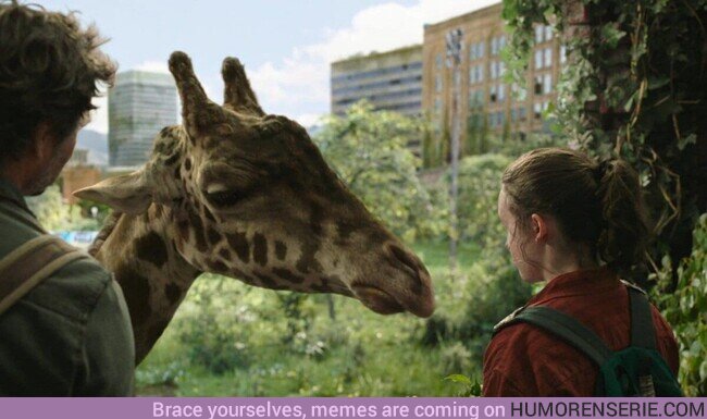 157101 - En la serie de The Last Of Us sale una Jirafa que recibió quejas por lo falso del CGI, la jirafa era de verdad