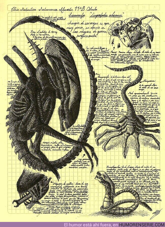 172203 - Vengo a recordaros cuando Leonardo Da Vinci hizo un boceto del ciclo vital del xenomorfo., por @Roybattyforever