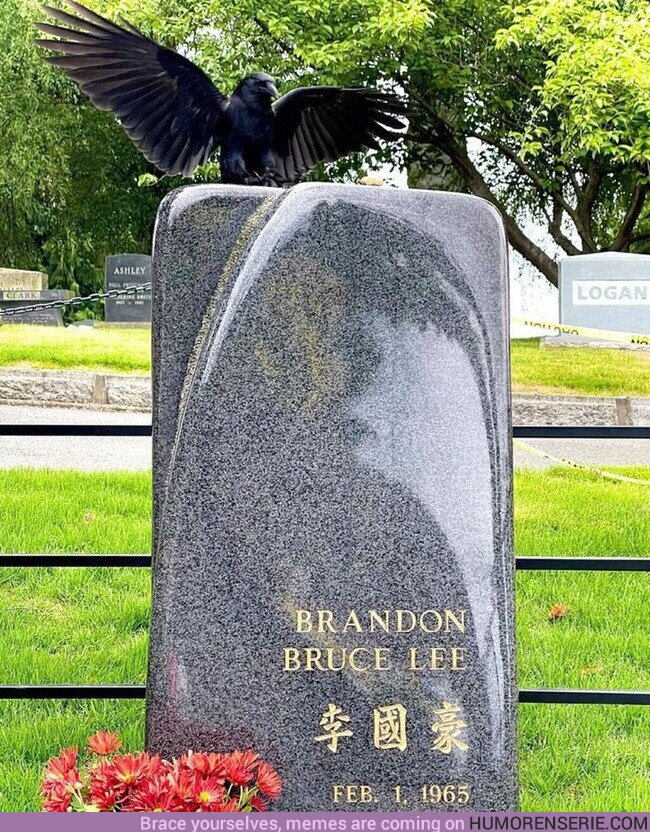176443 - Un cuervo se posa sobre la tumba de Brandon Lee.La foto PERFECTA existe, por @Roybattyforever
