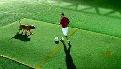 Enlace a Messi regatea hasta a un perro en su último anuncio. Lo deja por el suelo como a Boateng