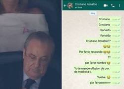 Enlace a Florentino está desesperado