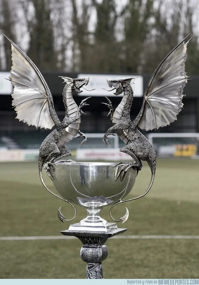1072404 - El trofeo de la Copa de Gales es demasiado épico