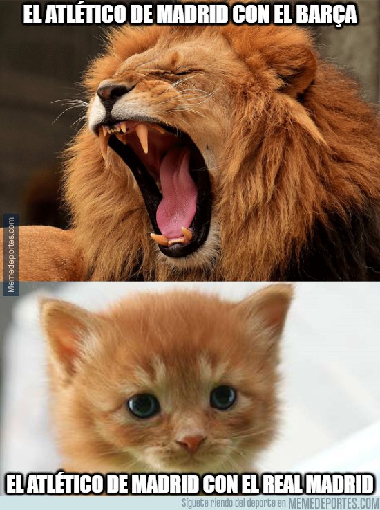  MEMEDEPORTES  Búsqueda de asi juega el madrid en ...