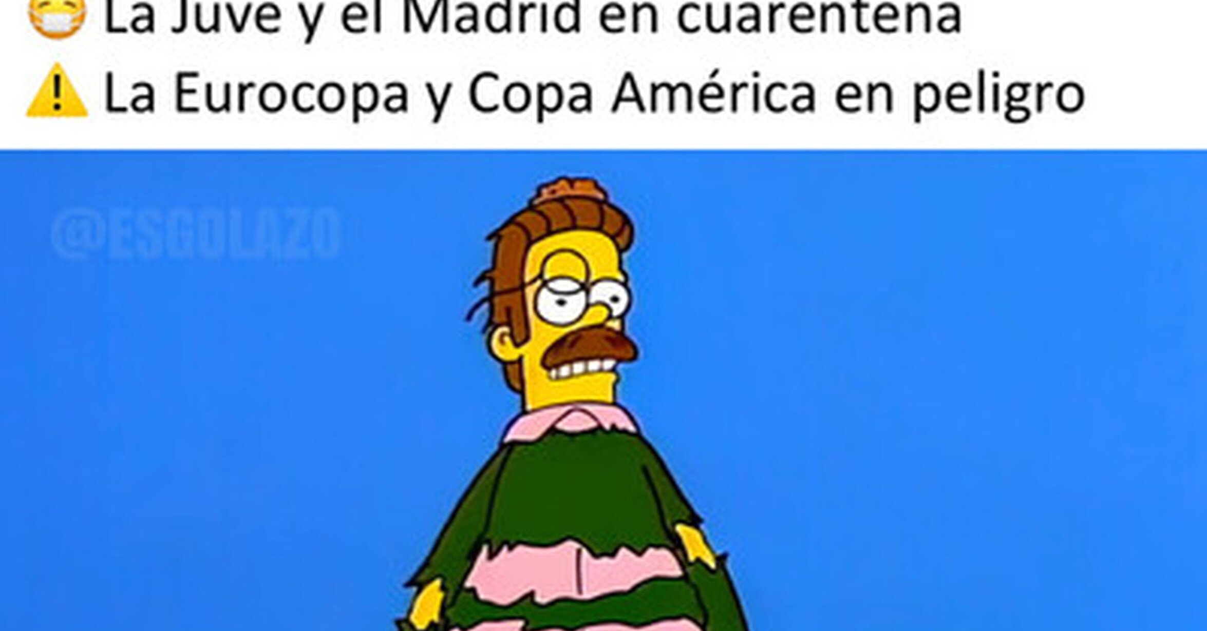 que haremos ahora que haremos ahora