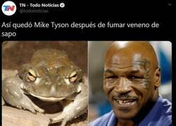Enlace a A mi Mike Tyson me preocupa mucho