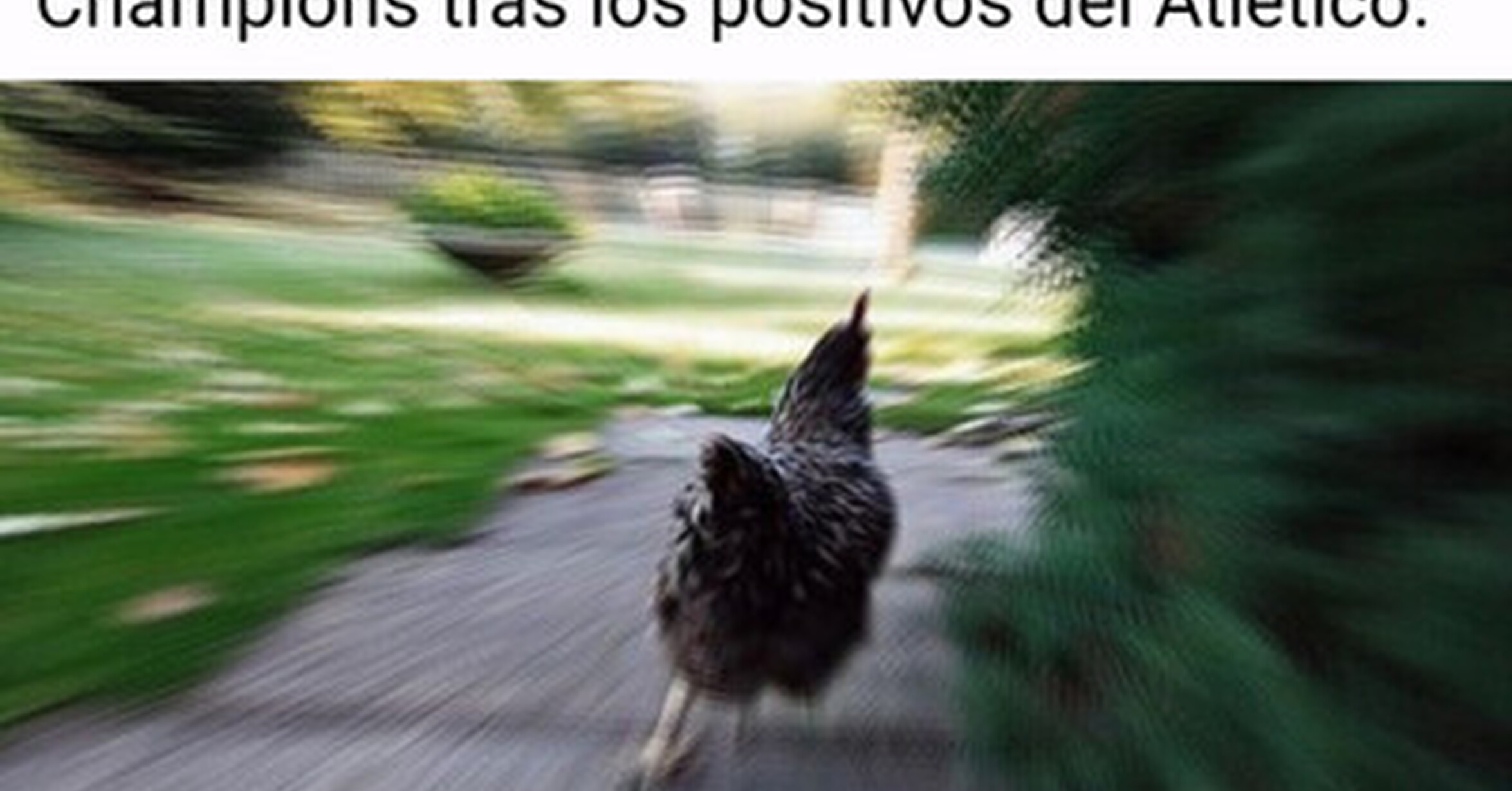 MEMEDEPORTES Aprovechando oportunidades