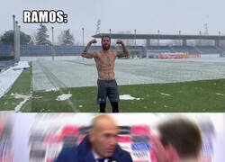 Enlace a La nieve de Zidane