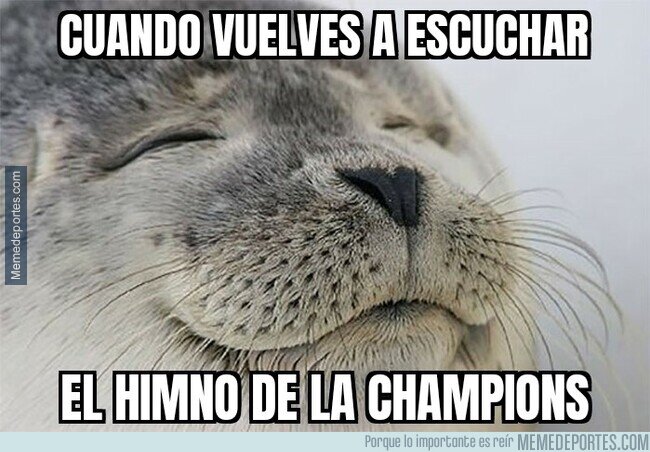 El regreso de la Champions (vía memedeportes).