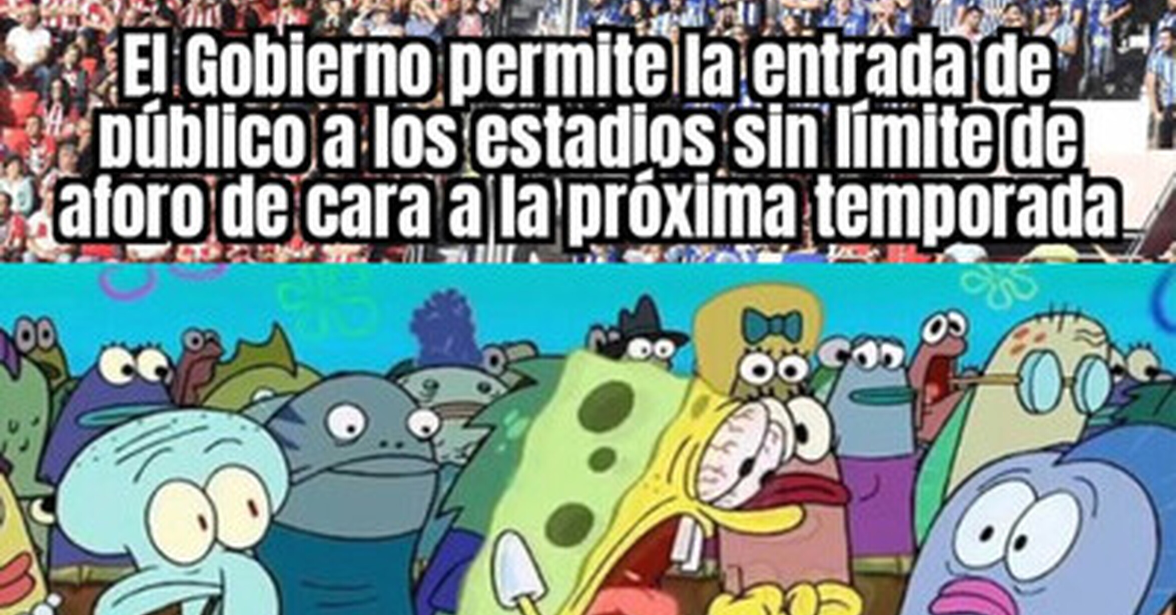 Memedeportes Vuelve El Publico A Los Estadios Memedeportes Vuelve El Publico A Los Estadios