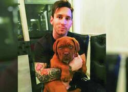 Enlace a El perro de Messi, alimentado con amor como Clifford