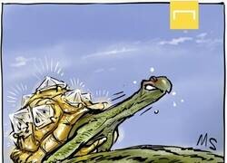 Enlace a La tortuga cubierta de oro que buscaba la libertad