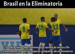 Enlace a La espectacular eliminatoria de Brasil