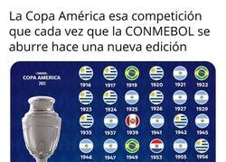 Enlace a La Copa América