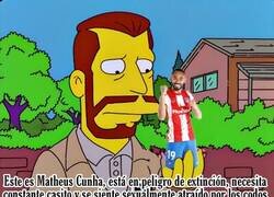Enlace a Matheus Cunha en su aparición en los Simpsons