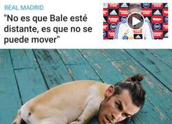 Enlace a Bale, el inmóvil