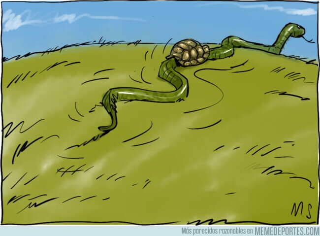 1161968 - La tortuga se convirtió en serpiente