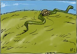 Enlace a La tortuga se convirtió en serpiente