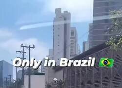 Enlace a Un día normal en Brasil
