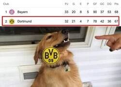 Enlace a Está en sus manos ganar la Bayernliga