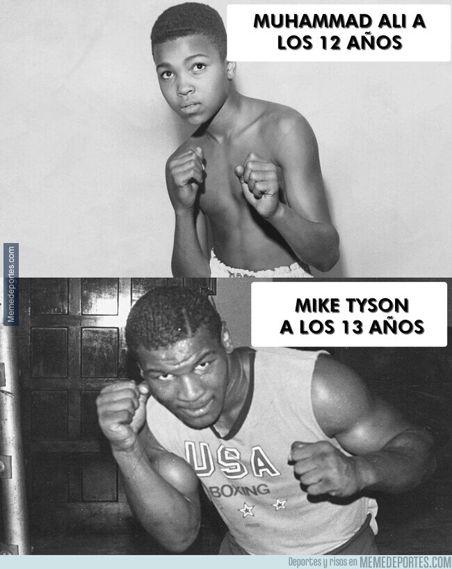 1195902 - Parece que Tyson desayunaba orejas por las mañanas