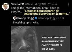 Enlace a Hasta Snoop Dogg dejó de fumar...