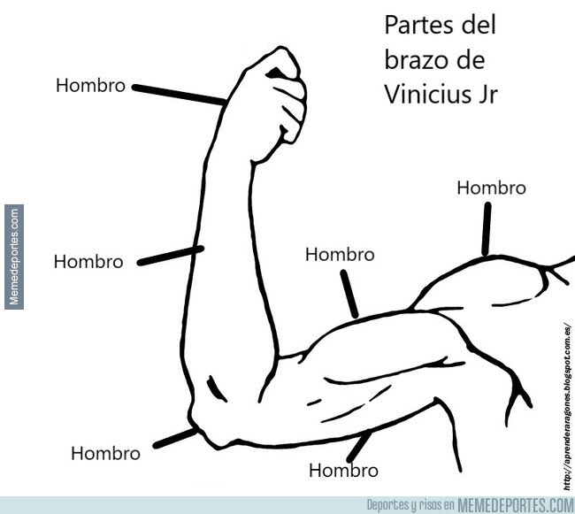 1200879 - Anatomía del brazo de Vinicius Jr