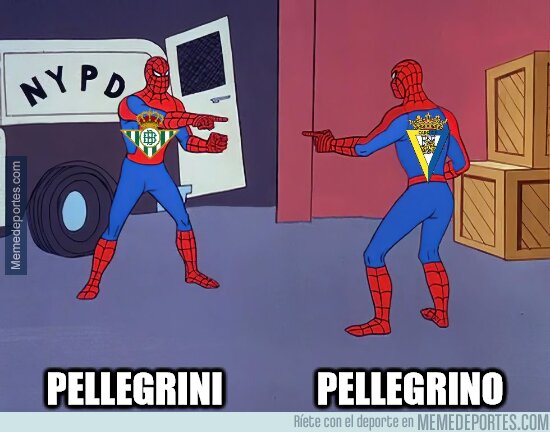 1201446 - Pellegrini vs Pellegrino