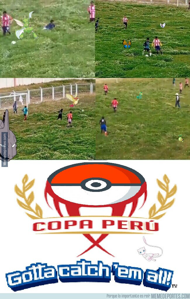 1203067 - Copa Pokemon Perú.