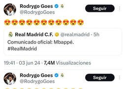 Enlace a Espero que a Rodrygo le guste su nuevo hábitat