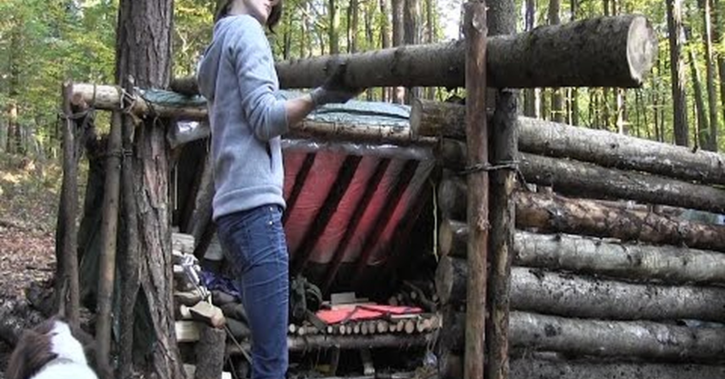 Бушкрафт шалаш лагерь. Shelter building. Shelter building. Shelter build. Shelter build.