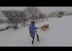 Enlace a Nada mejor que disfrutar de la nieve con tus perros