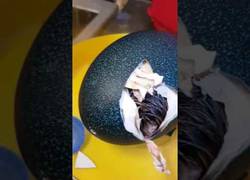 Enlace a Compra un huevo decorativo por eBay y flipa en colores al ver lo que ha recibido