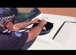 Enlace a El policía que aprovecha el calor que hace en Australia para freírse un huevo encima del coche