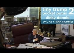 Enlace a Sigue dando que hablar Tiny Trump, el presidente en versión mini (2ª parte)