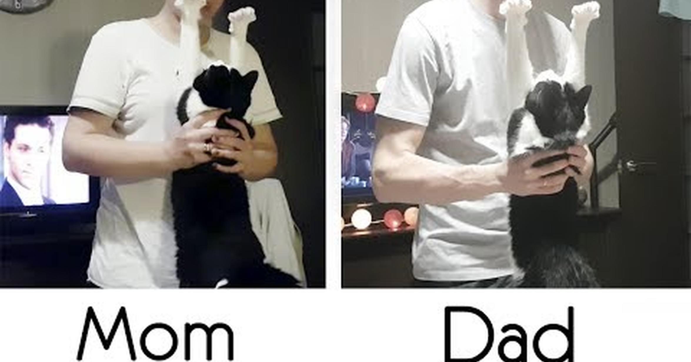 Daddy Has Needs Tumblr