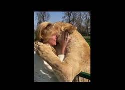 Enlace a El reencuentro tras 7 años separados de esta mujer que adoptó a dos cachorros de león