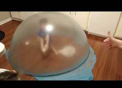 Enlace a Crean la burbuja de chicle más grande que nunca habíamos visto y meten al hijo dentro