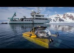 Enlace a Descienden a la parte más honda de la Antártida y observan las especies que allí habitan