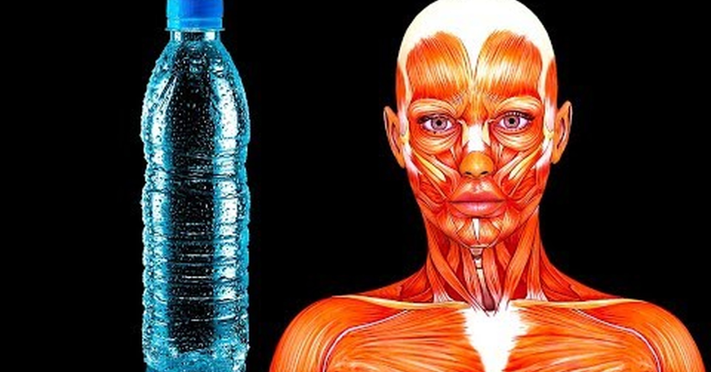 Месяц пила только воду. Как истощается организм человека.