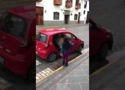 Enlace a Llama se monta en un taxi