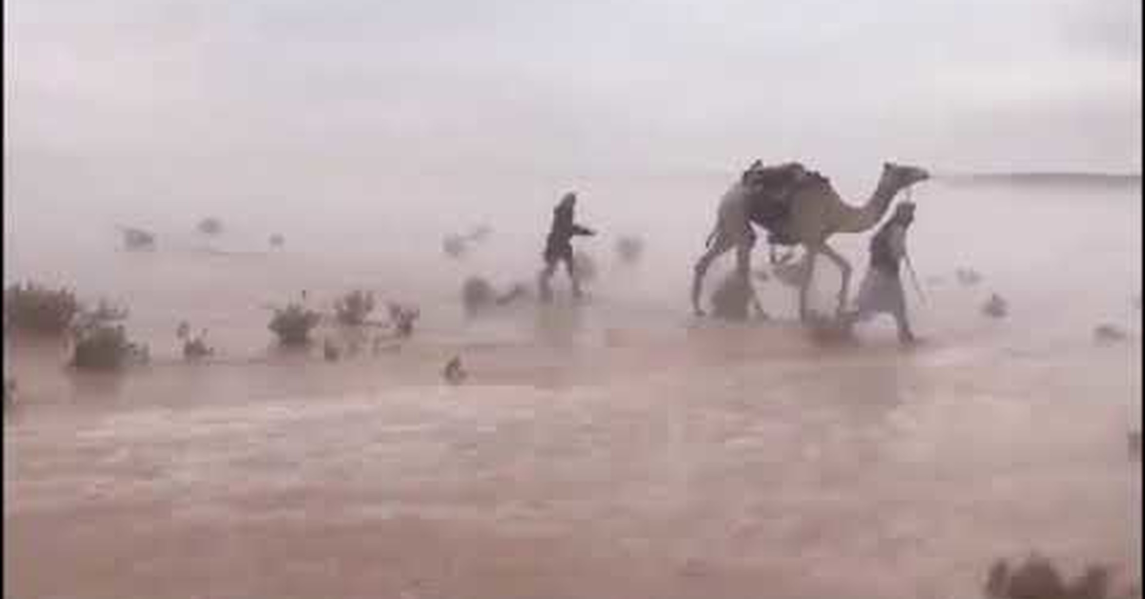 Наводнения в пустыне сахара. Наводнение в сахаре. Потоп в пустыне. Пустыня сахара затопило 2024. Наводнение в пустыне.