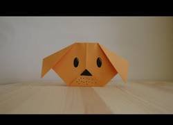 Enlace a Origami. Cómo hacer un cachorro de papel (lección en video)