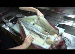 Enlace a Este chef japonés nos enseña como cortar un enorme calamar