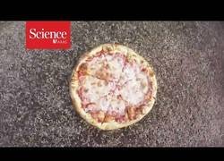 Enlace a Aficionadas: un grupo de 1000 larvas se come una pizza en 2 horas