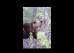 Enlace a Hombre ruso empuja a un oso y este finalmente se rebota