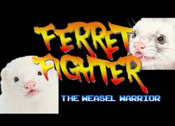 Enlace a Ferret Fighter: The Weasel Warrior