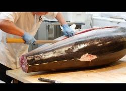 Enlace a El paso a paso para cortar un enorme atún y convertirlo en sashimi