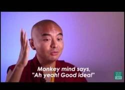 Enlace a Un monje budista te explica la meditación 'for dummies' de manera muy efectiva [ENG+ENGsubs]