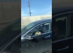 Enlace a Captan a un hombre dormido al volante de un Tesla en una autopista concurrida